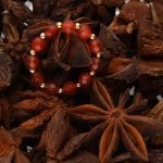 jesienny piękny pierścionek elastyczny z kuleczek gold filled i czerwonego agatu AUTUMN wsród anyżu