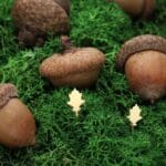 kolczyki na jesień sztyft liść debu srebrne pozłacane kolczyki na jesień sztyfty liść dębu minimalistyczne i gustowne