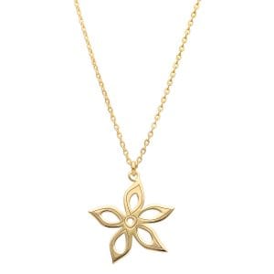 Naszyjnik srebrny pozłacany z anyżem celebrytka ANISE